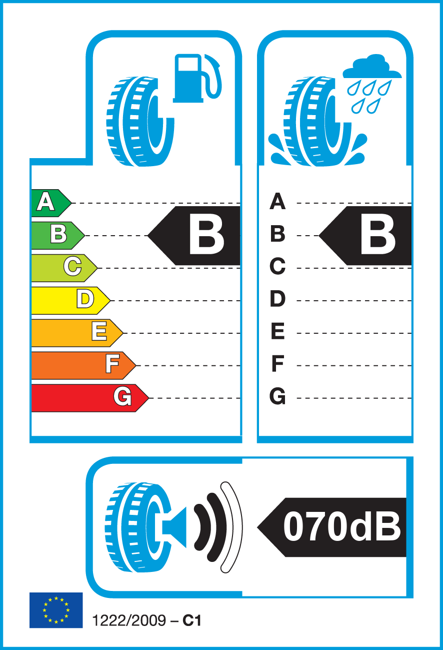 Etichetta Europea Bridgestone Bridgestone 195/55 R20 95H BLIZZAK 6 XL pneumatici nuovi Invernale