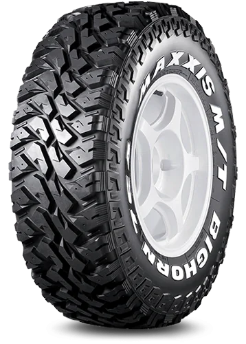 Maxxis Maxxis 205 R16 110Q 8PR MT-764 pneumatici nuovi Estivo 