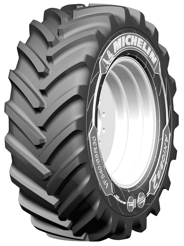 Gomme Agricoltura Michelin 710/60 R42 176D AXIOBIB 2 Estivo