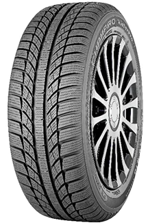 GT Radial GT Radial 205/55 R16 94V WTPRO HP pneumatici nuovi Invernale 