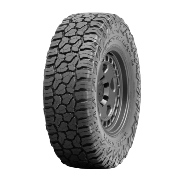 Gomme 4x4 Suv Falken 275/60 R20 119/116Q Wild Peak R/T RT01 Estivo