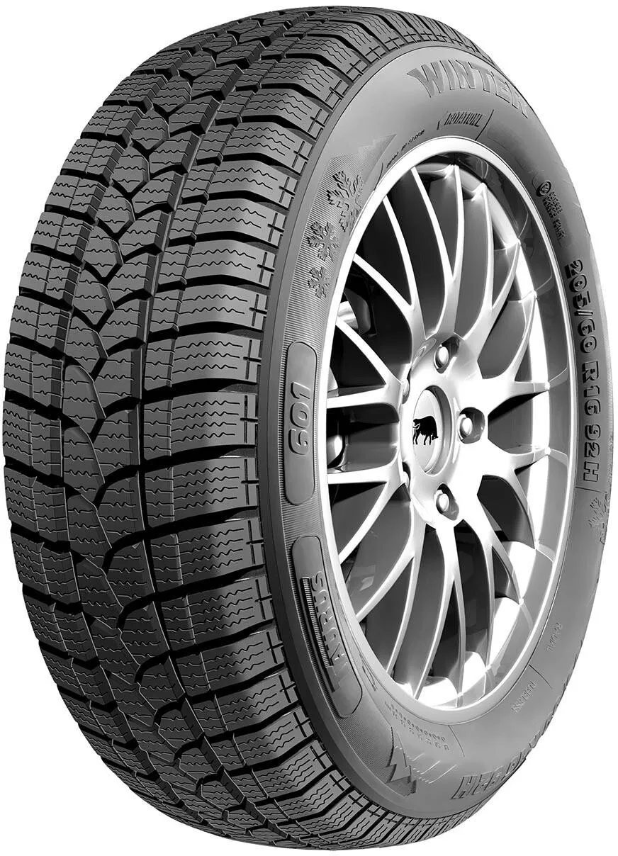 Taurus Taurus 175/70 R13 82T 601 WINTER pneumatici nuovi Invernale 