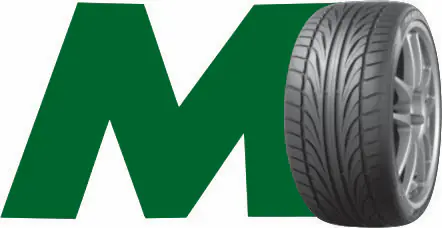 Millenium Logo